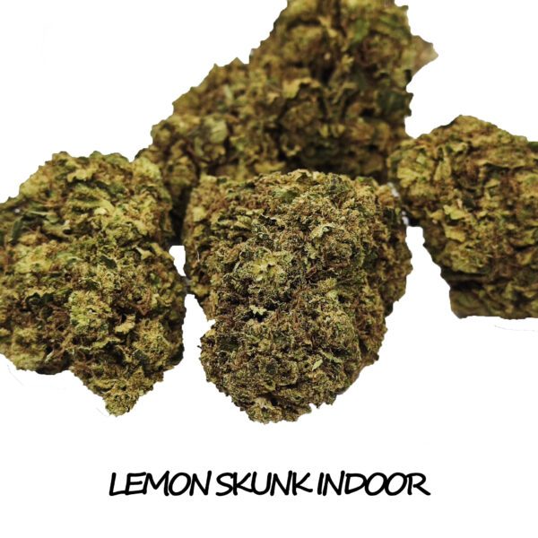 Lemon-skunk-indoor-cbd