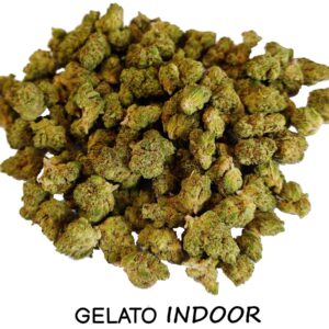 22% CBD GELATO Indoor
