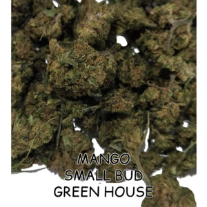 Mango small bud thvn10