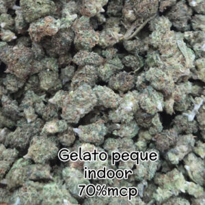 70% MCP Gelato indoor Peque